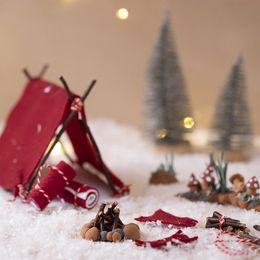 Lysbildefremvisning - Kunstig Snø i Pose