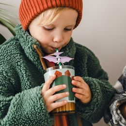 Lysbildefremvisning - Krusbeskyttelse Dinosaurer