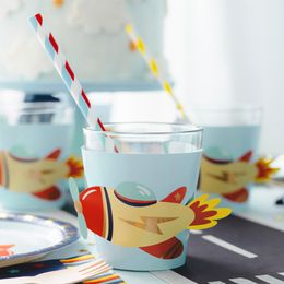 Lysbildefremvisning - Krusbeskyttelse Fly