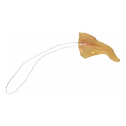 Lysbildefremvisning - Krokete Heksenese i Plast