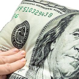 Bildspel - Kudde Dollarsedel
