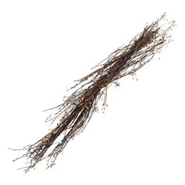 Oksat Marjoilla Koriste