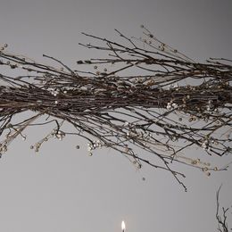 Diaesitys - Oksat Marjoilla Koriste