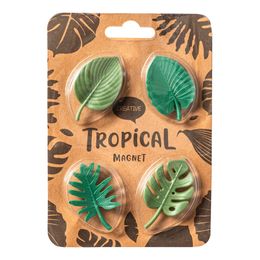 Lysbildefremvisning - Kjøleskapsmagneter Blad