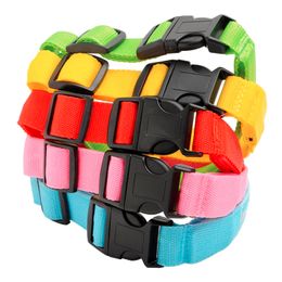 Lysbildefremvisning - LED Hundehalsbånd