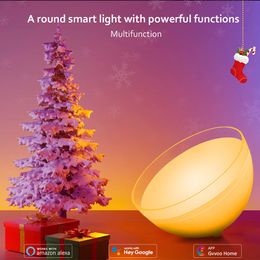 Bildspel - LED-Lampa Rund WiFi