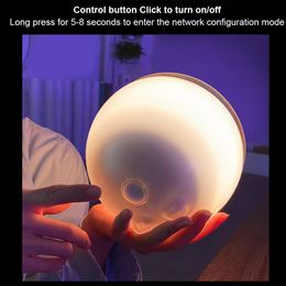 Bildspel - LED-Lampa Rund WiFi