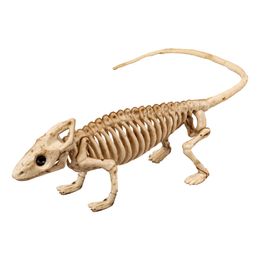 Leguaanin Luuranko Prop