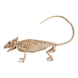 Diaesitys - Leguaanin Luuranko Prop