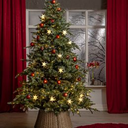 Diaesitys - Valosarja Joulutähdet Valkoinen