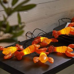 Bildspel - Ljusslinga Kräftor