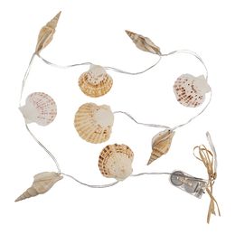 Ljusslinga Snäckskal