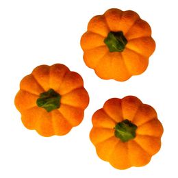 Diaesitys - Karvaiset Kurpitsat