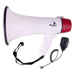 Lysbildefremvisning - Megafon