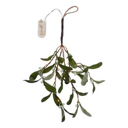 Lysbildefremvisning - Mistelten med LED