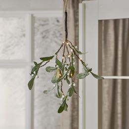 Lysbildefremvisning - Mistelten med LED