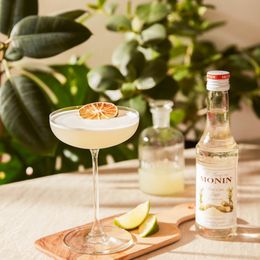 Bildspel - Monin Cane Sugar Syrup 25 cl