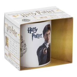 Bildspel - Mugg Harry Potter