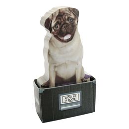 Bildspel - Mustard Dog In A Box Sticky Notes