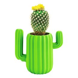 Bildspel - Mustard Kaktus Skrivbordsorganisatör