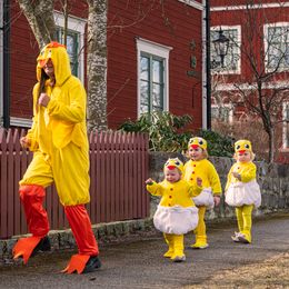 Bildspel - Nykläckt Kyckling Bebis Maskeraddräkt