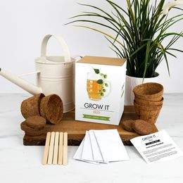 Diaesitys - Kasvata Oma Oluutesi