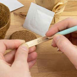 Diaesitys - Kasvata Oma Oluutesi