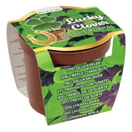 Lysbildefremvisning - Dyrk Din Egen Firkløver