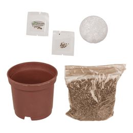 Lysbildefremvisning - Dyrk Din Egen Firkløver