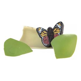 Bildspel - Odla en Fjäril