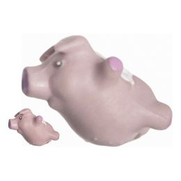 Bildspel - Odla en Flygande Gris