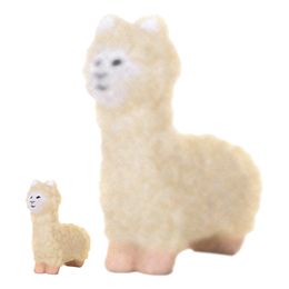 Bildspel - Odla en Lugn Lama