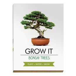 Dyrkningssæt Bonsaitræ