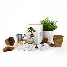 Lysbildefremvisning - Dyrkningssæt Bonsaitræ