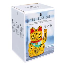 Bildspel - Orientalisk Vinkande Katt