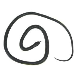 Lysbildefremvisning - Slange på Snor Spøkefull Artikkel