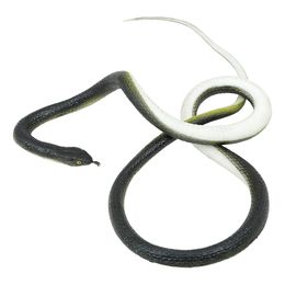 Lysbildefremvisning - Slange på Snor Spøkefull Artikkel