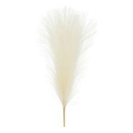 Pampasgress Dekorasjon