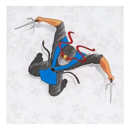 Bildspel - Servetter Ninja