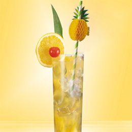 Bildspel - Papperssugrör Ananas