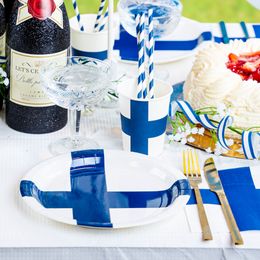 Diaesitys - Paperipillit Suomen Lippu