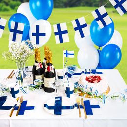 Diaesitys - Paperipillit Suomen Lippu