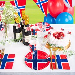 Diaesitys - Paperipillit Norjan Lippu