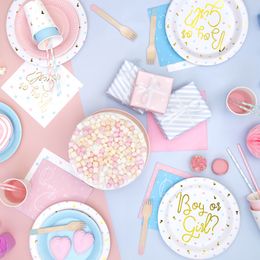 Diaesitys - Pahvilautaset Boy or Girl