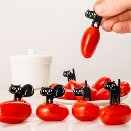 Bildspel - Partypicks Katter