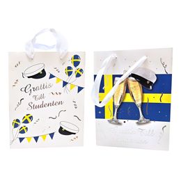 Diaesitys - Laukku Ylioppilas