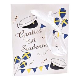 Diaesitys - Laukku Ylioppilas