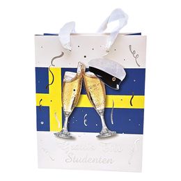 Diaesitys - Laukku Ylioppilas