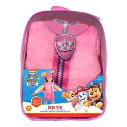 Bildspel - Paw Patrol Skye Tillbehörskit