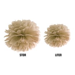 Lysbildefremvisning - Pompong Gull